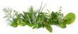 canvas print picture - Verschiedene frische Kräuter - Fresh Herbs Panorama