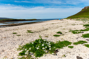 Coral Beach