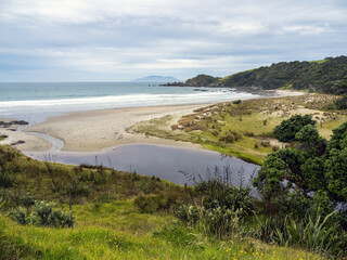 Wall Mural - Tawharanui peninsula regional park. Auckland, New Zealand