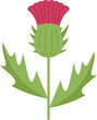 Cirsium thistle icon flat vector. Flower milk. Scotland plant isolated