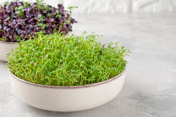 Wall Mural - Fresh cress salad, green and purple leaves radish microgreens in a ceramic bowl. Vegan and healthy eating concept. Micro herbs. Copy space.