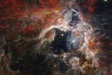 Fototapeta  - Cosmos, Tarantula Nebula, James Webb Space Telescope