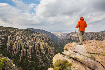 Canvas Print - Chiricahua