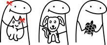 Meme Internet. Flork: Pets. Cat, Dog, Turtle. Vector Stkech. Comic Drawing.