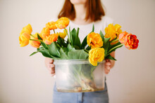 Woman Holding Bucket With Tulips.