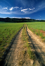 A Long Dirt Road Runs Through Lush Green Grass Toward The Mountains And A Bright Blue Sky.