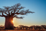 baobab on a dry sandy savannah in Africa, generative AI