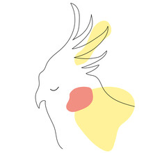 Line Art Drawing Of Bird .Hand Drawn Parrot Small Cockatiel .Yellow And Red Abstract Spots 