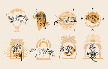 Hand drawn vector abstract graphic illustration celestial design concept with logo silhouette art set of mystic tiger animal,sun,moon and stars,isolated.Magic drawing tiger icon.Vector striped tiger.