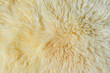 Abstract background yellow fur fabric texture