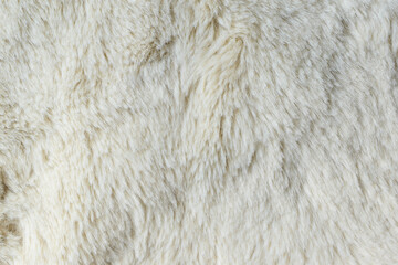 Wall Mural - Cream white wool texture, abstract fur background