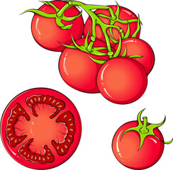 Set of red tomatoes. Branch, whole, sliced circle tomato. Vector hand drawn cartoon illustration isolated on white. Vegan healthy organic food