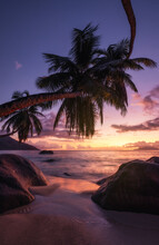 Palm Tree Silhouettes On A Tropical Beach At Sunset