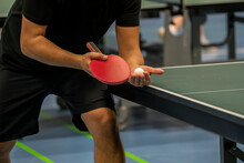 Table Tennis Player Serving, Holding Ball In Hand