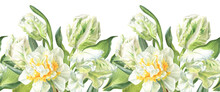 Seamless Border With White Parrot Tulips And Daffodils. Watercolor Illustrations In Botanical Style