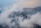 Fototapeta Na ścianę - Foggy Landscape on winter days