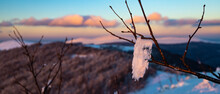 Panorama Of Snow-capped Mountains At Sunset During A Cold Winter; Mighty Mountain Peaks In The Polish Bieszczady Mountains; Mountain Vegetation Covered With Snow
