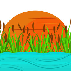 Wall Mural - Cattail, sedge. River and sunset. Vector background in the flat style.