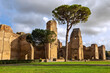 Terme di Caracalla or the Bath of Caracalla, ruins of ancient Roman public baths in Rome, Italy. 