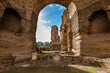 Terme di Caracalla or the Bath of Caracalla, ruins of ancient Roman public baths in Rome, Italy.