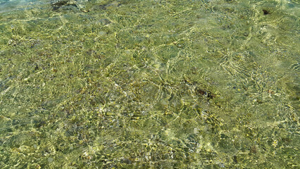 Wall Mural - Clear sea water near the coast of Mallorca