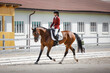 portrait of attractive woman rider and bay mare horse trotting during equestrian dressage competition in summer in daytime