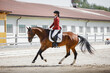 portrait of attractive woman rider and bay mare horse galloping during equestrian dressage competition in summer in daytime