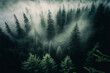 Leinwandbild Motiv Forest landscape view from above, foggy forest. AI