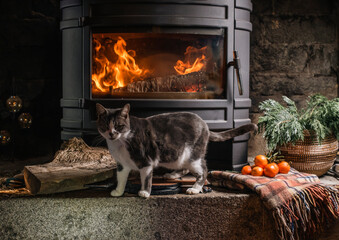 cat near a burning fireplace