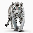 Realistic Portrait of a white tiger. Designed using generative ai