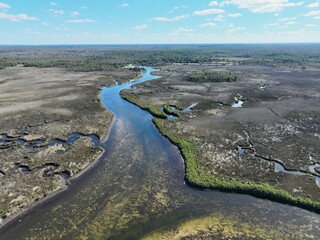 Fototapete - Hernando Beach Wetlands Near Weeki Wachee River Florida
