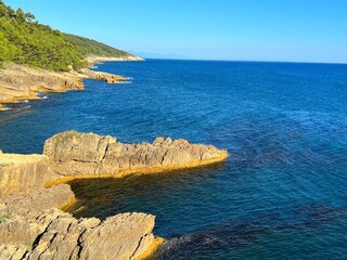 Canvas Print - Rocky coast of sea at summer.