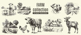 Fototapeta Fototapety na ścianę do pokoju dziecięcego - Rural meadow or countryside farm set. A village landscape with cows, goats, and lamb, hills, and a farm.