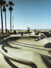 Skateboard Venice Beach