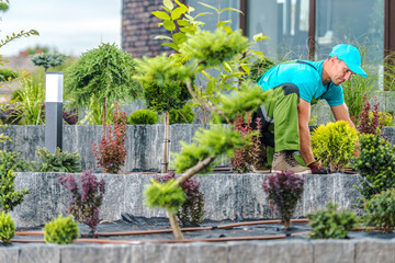 Wall Mural - Professional Landscaper Maintaining Plants in Flowerbed