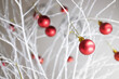 © Cavan Images - Close-up of red Christmas baubles decorated on white branches at home