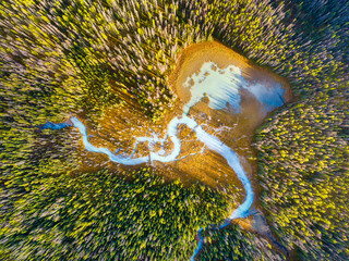 Wall Mural - a drone view of the river in the woods. an aerial view of an autumn forest. winding river among the 