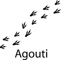 Poster - Agouti foot print vector illustration on white background a.eps