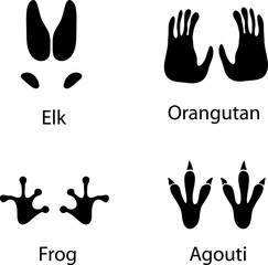 Poster - Animal foot print vector on white background..eps