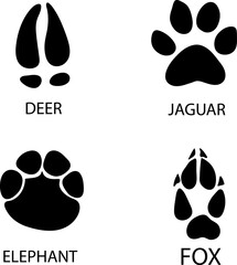 Poster - Different footprints of fox, elephant, deer, jaguar paws illustration..eps