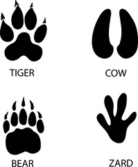 Poster - Different footprints of bear, zard,tiger,cow paws set illustration..eps