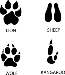 Poster - Different footprints of wolf kangaroo, lion, sheep paws illustration..eps