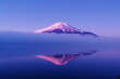 早朝の幻想的な富士山