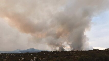 Wall Mural - Time-lapse of raging mountain fire across the hill at Fairview Fire California