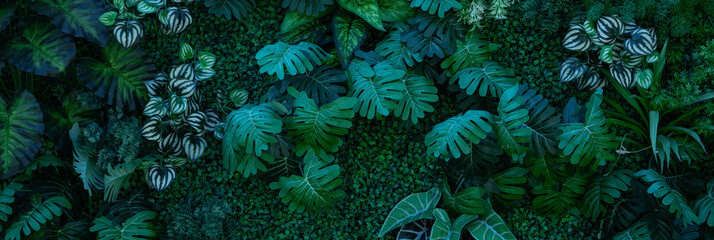 Fototapete - Full Frame of Green Leaves Pattern Background, Nature Lush Foliage Leaf Texture, tropical leaf