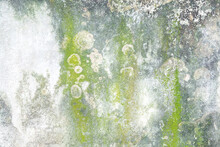 Abstract Weathered Texture Stained Old Stucco Light Clean Color And Aged Paint Concrete White And Green Wall Background In The Room. Grunge Block Cement Decorative Pattern On The Street.