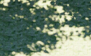 Wall Mural - green moss on a wall