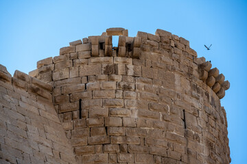 Wall Mural - picturesque ancient ruins of Shobak fortress in Jordan on a sunny day against the blue sky