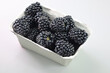 jeżyny, blackberries on a white background