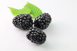 jeżyny, blackberries on a white background,